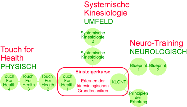 Übersicht über die kinesiologischen Kurse im Zentrum für Lösungsorientierte Kinesiologie
